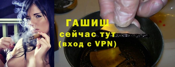 прущие грибы Медногорск