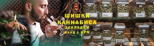 прущие грибы Медногорск